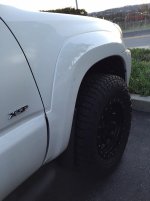 IMG_4440.jpg