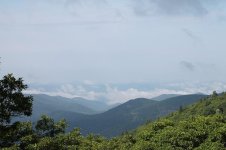 IMG_3345.jpg