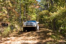 ozark-nf.jpg