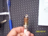 sparkplug1.jpg