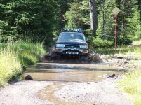 puddleimage0098.jpg