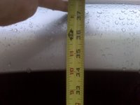 IMG00003.jpg
