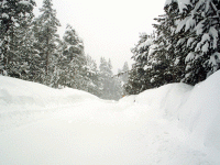 picture 6 copy.gif