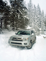 picture 038 copy.gif