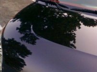 souldetailed6.jpg