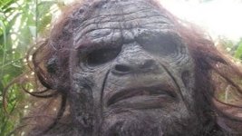 bigfoot.jpg