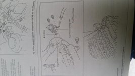 20160826_121247.jpg
