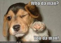 Doggy.jpg Doggy.jpg