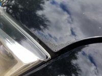 20161010_131425.jpg