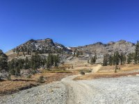 IMG_6406.jpg