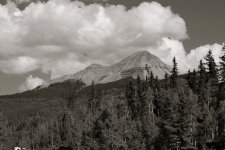 DSC_2173-2.jpg