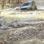 20161030 in the mud.jpg