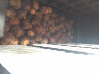 airbox_acorns.jpg airbox_acorns.jpg