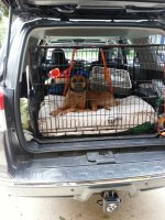 ember 20140615 in truck.jpg
