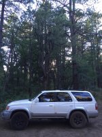 IMG_2619.jpg
