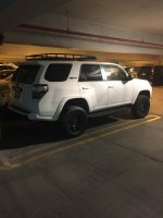 IMG_2498.jpg