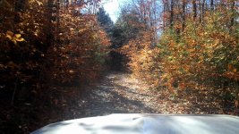 IMG_20161104_124612.jpg