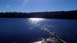 IMG_20161104_130542.jpg