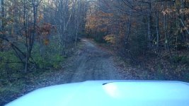 IMG_20161104_144145.jpg