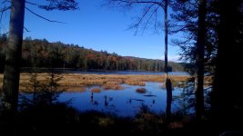 IMG_20161104_144359.jpg