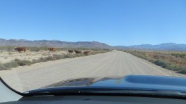 IMG_1201s.jpg