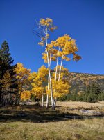 IMG_20161012_103649.jpg