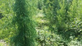 20160828_133210.jpg