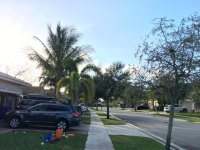 IMG_6537.jpg