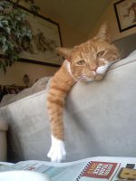 otis1014131626a.jpg