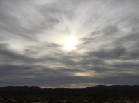 IMG_3320.jpg