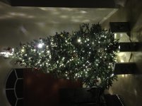 IMG_9533.jpg