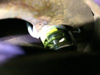 IMG_1586.jpg