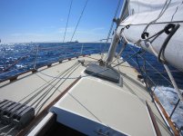 IMG_1215.jpg