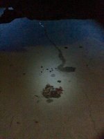 IMG_5765.jpg IMG_5765.jpg