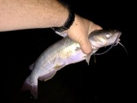 IMG_7751.jpg