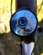trek 4300 skull.jpg