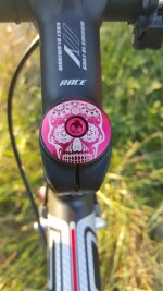 trek madone 5-0a.jpg