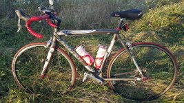 5-0 madone with salsa.jpg