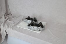 IMG_1220.jpg