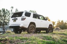 terra 1.jpg