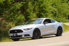 Mustang 2.jpg