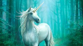 unicorn.jpg