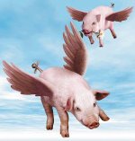 pigs fkly.jpg