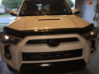 IMG_6139.jpg