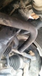 Hose 1_9.JPG