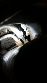 Hose 2_11.JPG