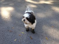 IMG_0419.jpg