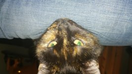 20170106_192234.jpg