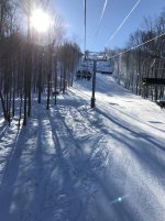 IMG_0534.jpg