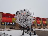 20170203_171658.jpg